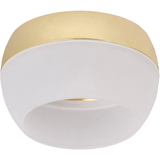 Накладной потолочный светильник IEK Lighting 4010 под лампу gx53 золото LT-UPB0-4010-GX53-1-K22
