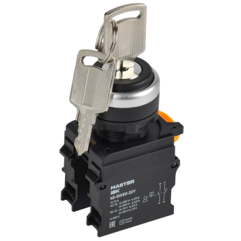 Переключатель с ключом на 3 положения IEK MASTER MI-SW60-20Y-3-34-3-K02 2NO чёрный