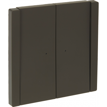 Выключатель 2-клавишный проходной IEK FORTEPIANO с индикацией 10А FP308 серый FP-V22-1-10-1-K03 Выключатель 2-клавишный проходной IEK FORTEPIANO с индикацией 10А FP308 серый FP-V22-1-10-1-K03