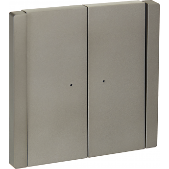 Выключатель 2-клавишный проходной IEK FORTEPIANO с индикацией 10А FP508 сталь FP-V22-1-10-1-K46 Выключатель 2-клавишный проходной IEK FORTEPIANO с индикацией 10А FP508 сталь FP-V22-1-10-1-K46